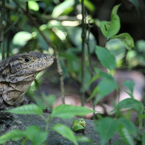 Фотография Фотогалерея