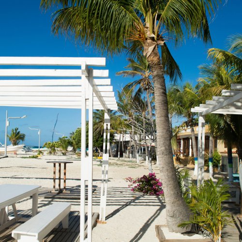 Фотография Фотографии