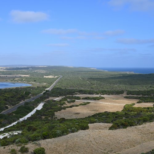 Фотография Фотографии