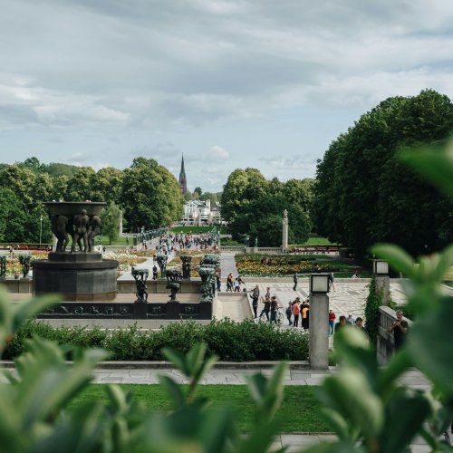 Фотография Фотографии