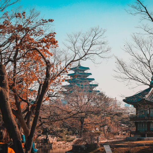 Фотография Фотогалерея