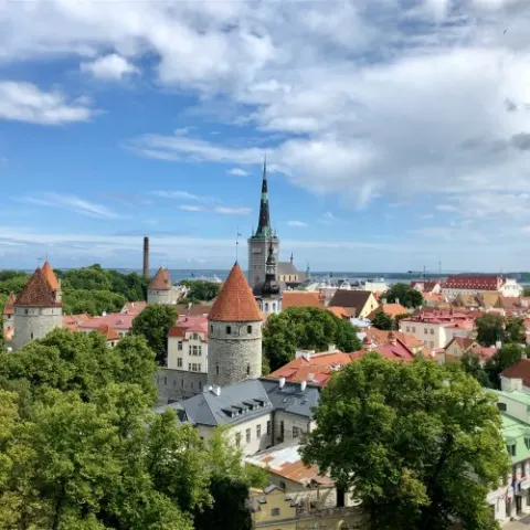 Фотография Фотогалерея
