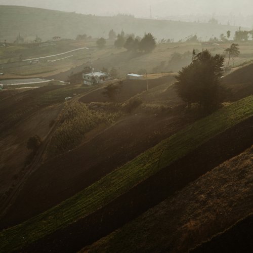 Фотография Фотографии