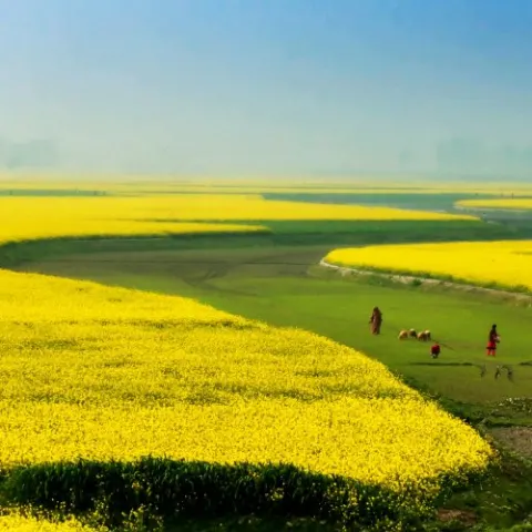 Фотография Фотогалерея