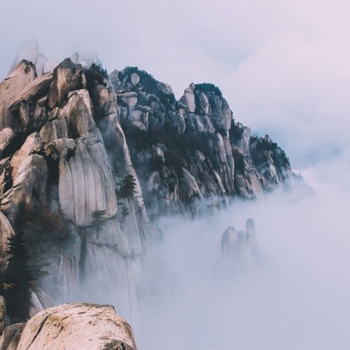 Фотография Фотографии