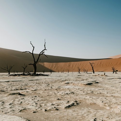 Дэдвлей в районе Соссусфлея, Намибия · Фото: NIR HIMI / Unsplash