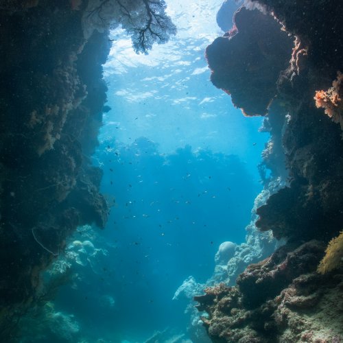 Большой Барьерный риф