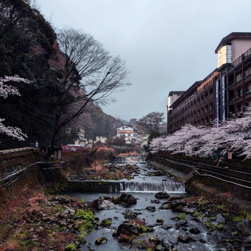 Фотография Фотографии