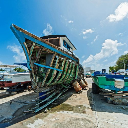 Фотография Фотографии