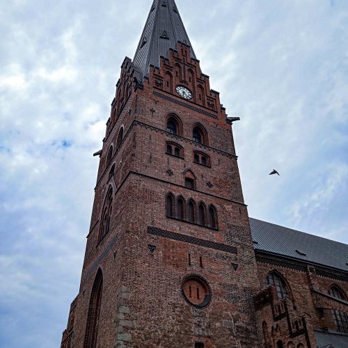 Фотография Фотографии