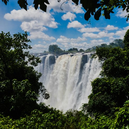 Фотография Фотографии