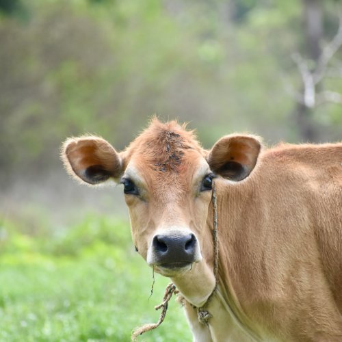 Фотография Фотографии