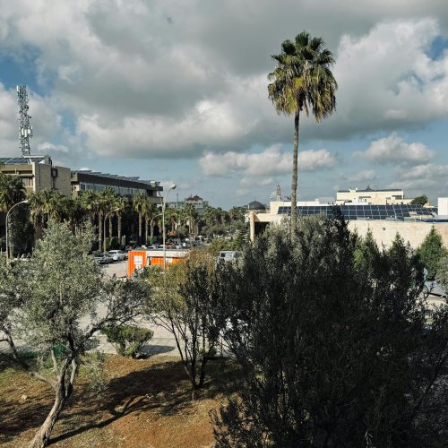 Фотография Фотографии