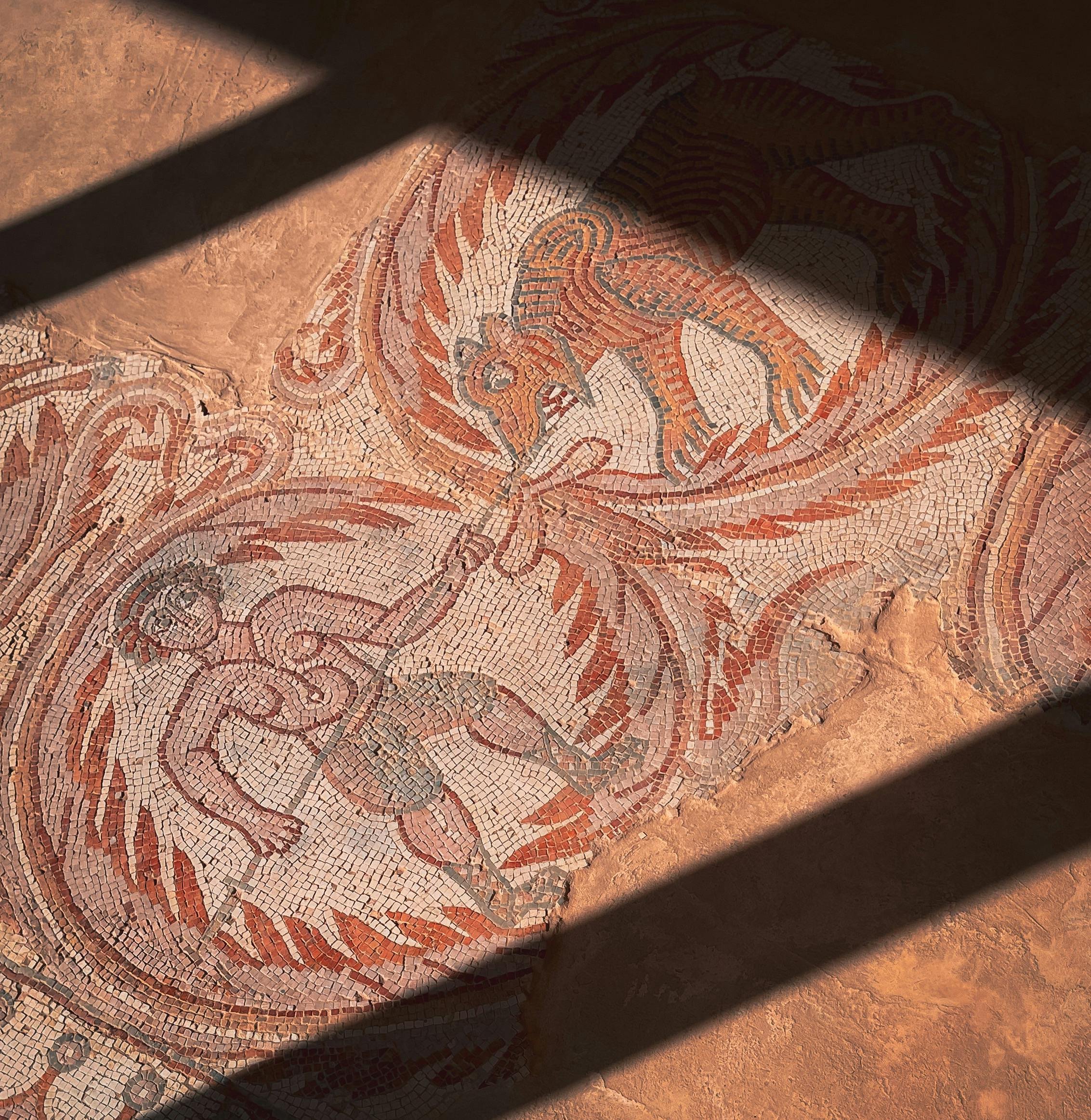 Мозаика в Мадабе Мозаика в Мадабе