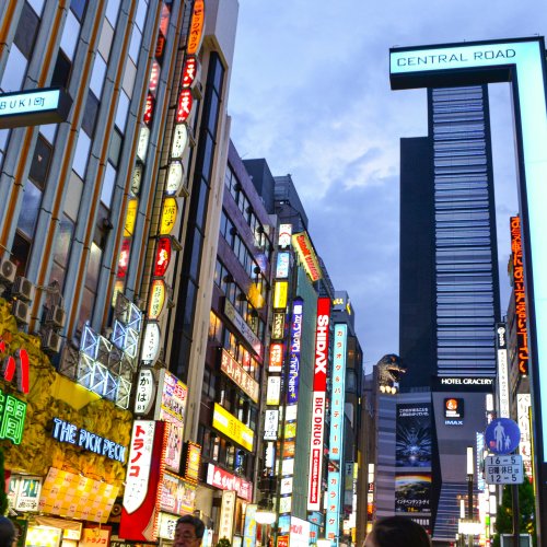 Шопинг в Японии: крупнейшие магазины Токио и Осаки, аутлеты, tax free, адреса