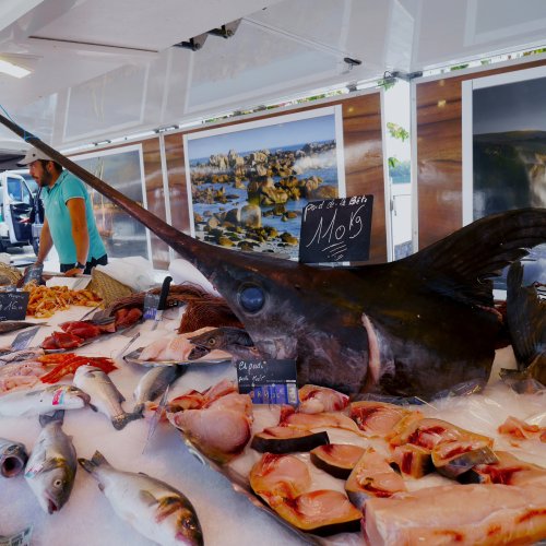 Лавка с морепродуктами в Бордо